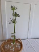 Top Porspoder Top Porspoder