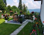 Top Werlas Top Werlas