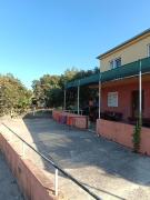 Top Janjina Top Janjina