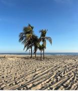 Top Puerto Escondido