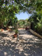 The Green Garden in AGIA VASSA