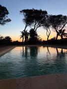 Peacock apartments Latina