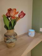 Top Misano Adriatico