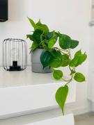 Top Grzybowo Top Grzybowo