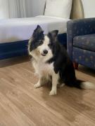 Macquarie Barracks Motor Inn