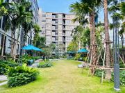 Poolside Paradise, Nice pool view