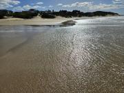 Sandpiper 7 - Cozy Oasis