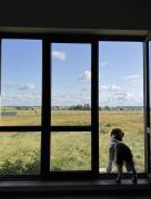 Top Lidzbark Top Lidzbark