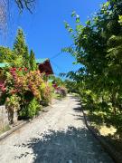 Pensiunea Dealul Hera