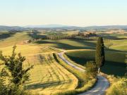 Top Monteroni dʼArbia