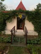 Top Nainital Top Nainital