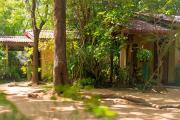 Sigiri Serenity Homestay