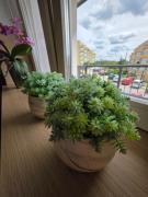 Top Olsztyn Top Olsztyn