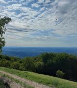 Top Romano D'Ezzelino