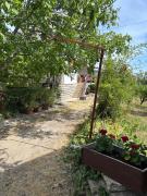 Szőlővirág Vendégház