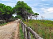 Top Bibione