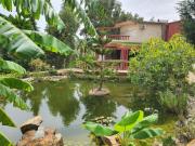 Ain Damous Farmhouse