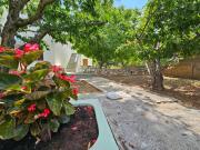 Top Skopelos Town