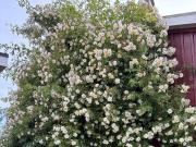 Top Stockholm Top Stockholm