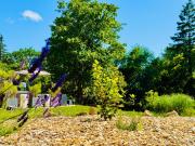 Top Bourg-des-Comptes