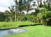 Top Ubud