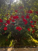 The LODGE, separate apartment in a vila, with floor heating, groundfloor