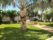 Top Mazara del Vallo