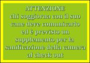 Top Zuccarello