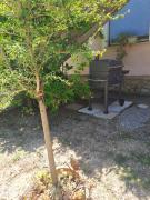 Top Calvi dellʼ Umbria