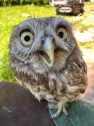 Top Duszniki-Zdrój Top Duszniki-Zdrój