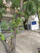Rivera Nest