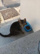 Top Trancoso Top Trancoso