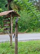 Wilpattu Forest Buma Lodge