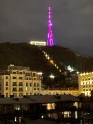Apartment tbilisi central