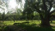Top Lyndoch