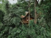 Our Jungle House