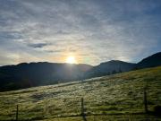 Studio Apartment Hochgratflair