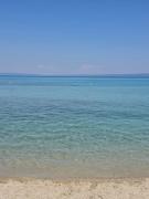 Bright & Bloom Μεζονέτα