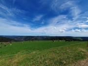 Top Schonach