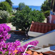 Apartments Vir Delfin