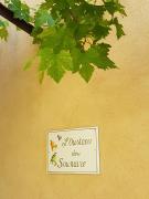 Top Moustiers-Sainte-Marie