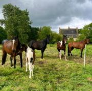 Top Châtelaudren-Plouagat