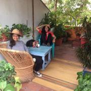 Villa Butterfly Studio