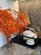 LazyLis H1 Masterise OCP1 washing machine 2beds