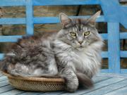 Luxurious private 100sqm studio with infinity pool