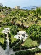3 Palms Villa