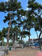 Top Néa Michanióna Top Néa Michanióna