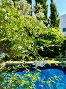 Top Sidi Bou Said