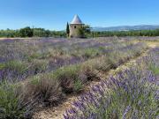 Top La Celle-sous-Gouzon
