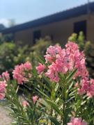 LA CASETTA Malpensa Guesthouse